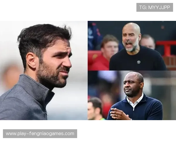 法布雷加斯执教科莫的352体系：意甲最令人惊喜的战术革命